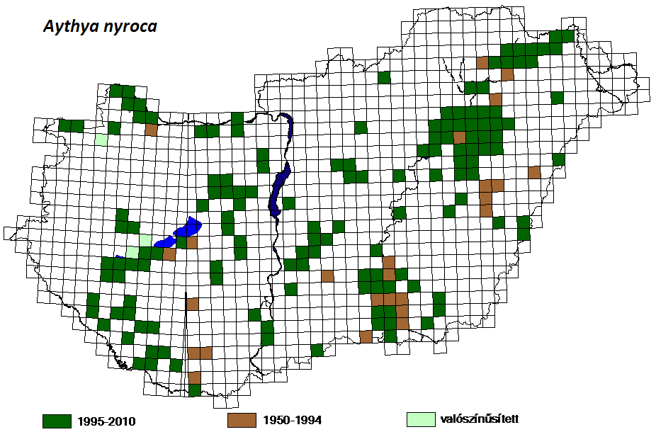 4.1.10.2 Elterjedési térképek Összesített fészkelési adatok 17. térkép: Cigányréce magyarországi költőterületei Lokáció UTM-kód Çvszám Mennyiség Hivatkozás Álmosd-Kokasd ET75 2010 (BIRDING.