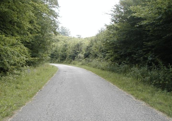 illesztése A hálózat állapotának és várható forgalmának elemzése, a
