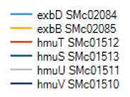 Eredmények A szintén emelkedett expressziót mutató exbbd a TonB-vel alkotott komplexben - szükséges a vas felvételéért.