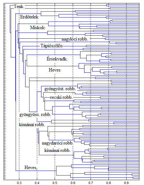 3.15. ábra. Rendezett korrelációs mátrix, a hasonló események eredetének feltüntetésével 3.