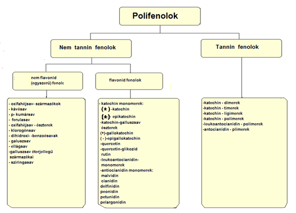 3. ábra: A fenol vegyületek kémiai szemléletű csoportosítása Peri és Pompei (1971) nyomán Flavonoidok A növényekben a flavonoidok endogén vagy exogén stressz hatására is képződnek, szerepük van az UV