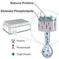 Fehérje kicsapás és foszfolipid eltávolítás egyszerűen! A zavaró fehérjék és foszfolipidek eltávolítására kínálnak egyszerű, robosztus megoldást a Phenomenex Phree termékei.