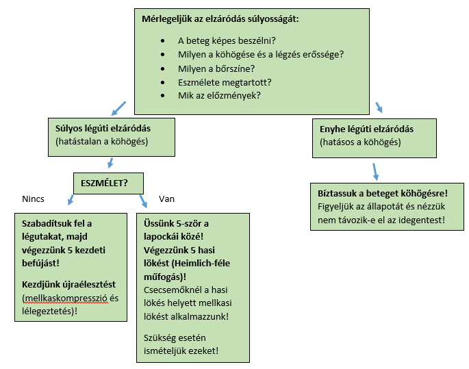 9/7. ábra Ahogy a felnőttek esetén is tárgyaltuk, az ellátást követően minden esetben szükséges az orvoshoz fordulás, amennyiben hasi és/vagy mellkasi lökésre is sor került az ellátás során.