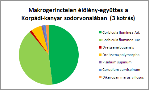 3. ábra.