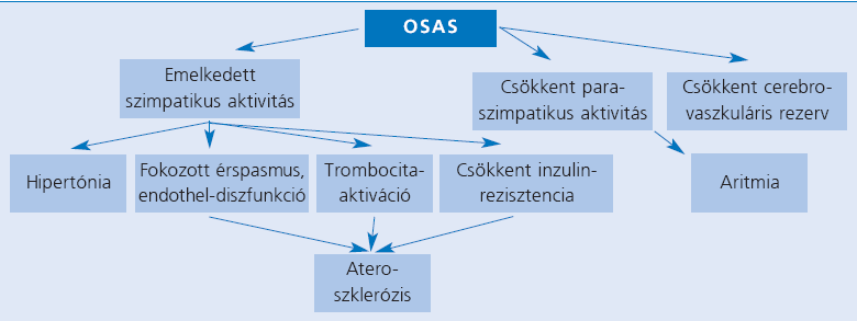 Az alvási apnoe a stroke kockázati