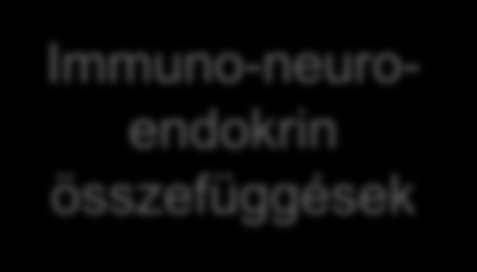 Idősekben gyakran előforduló endokrin eltérések TÁMOP-4.1.2-08/1/A-2009-0011 Menopausa Andro pausa Ösztrogén FSH Tesztoszterone (Progeszteron?