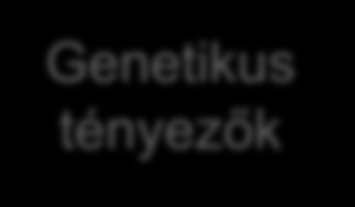 Az esendőség kialakulásához vezető faktorok Öregedés Genetikus tényezők Gyulladásos állapot Hormonális változások kardio-pulmonális hematológiai