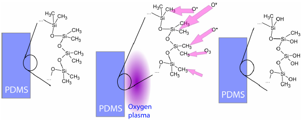 1.7. Lehetőségek a PDMS módosítására Oxidáció A PDMS felületének oxidációja lehetséges gáz és folyadékfázisú reakcióval is.