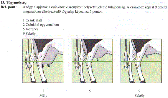 Melléklet