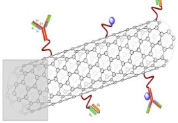 (universal assembler) 10-7 10-8 100 nm Nanotube fullerene dendrimer targeted carbon nanotube