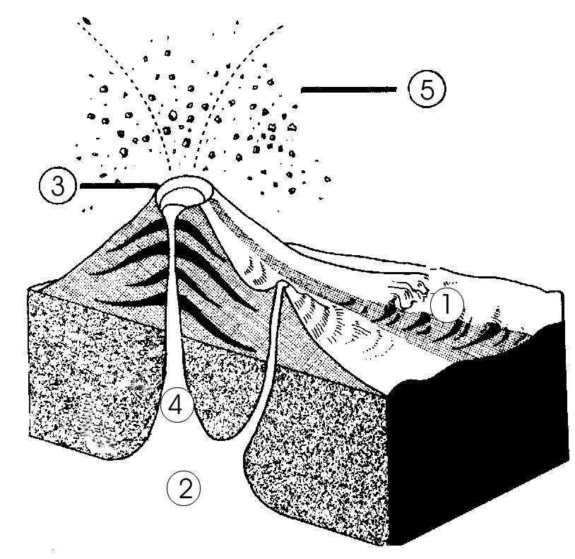 Rétegvulkán részei: 1. Láva 2. Magmakamra 3.