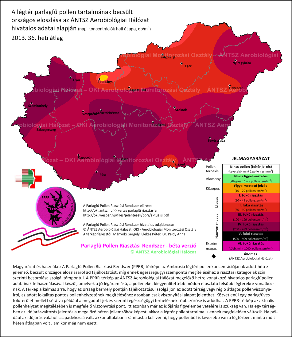 7. ábra A 2013-as parlagfű szezon csúcsidőszaka a PPRR heti átlagértékei alapján 2013. szeptember 2-8. (36. hét) Az ország jelentős részén jellemző volt a IV. fokú riasztási szint (átl.