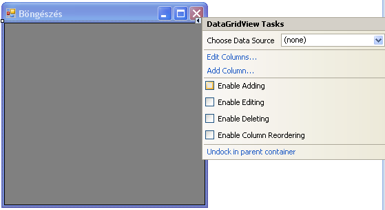 Az adatrács DataSource tulajdonságát tegyük elérhetővé az frmböngészés ablak osztályán kívülről is.