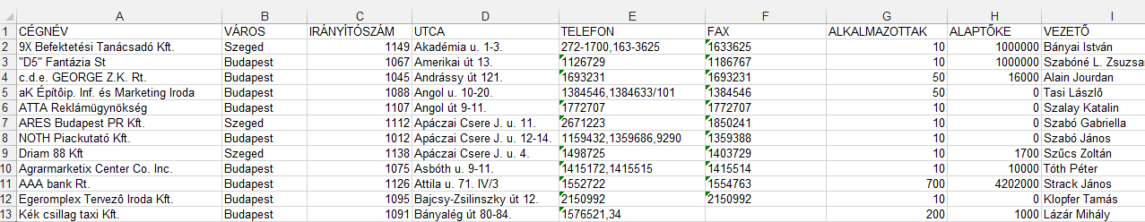 2. FELADAT A táblázat cégek adatait tartalmazza az A1:I160 tartományban a következő adatokkal: cégnév, város, irányítószám, utca, telefon, fax, alkalmazottak száma, alaptőke, vezető neve. 1.