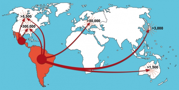 6.6. ábra: Változó vonalak a latin-amerikai migránsok fő célpontjai 2010-ben Forrás: http://kitekinto.hu/latin-amerika/2013/01/27/latinamerika_uj_migracios_trendek/#.uqg9qouzbbk 2013. 10. 02.