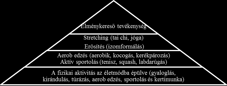 A fizikai aktivitások bemutatásához fontosnak tartjuk tisztázni a témában felmerülő fogalmakat. A fizikai aktivitás alatt értünk minden energia leadással járó tevékenységet.