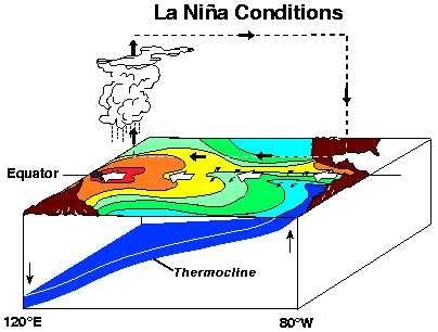 El Niño (folyt.