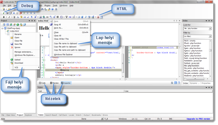 52 Szerveroldali programozás PHP nyelven 13. ábra A CodeLobster felülete Az állományok előképe nemcsak a Preview lapon, hanem közvetlenül a böngészőben is megtekinthető.