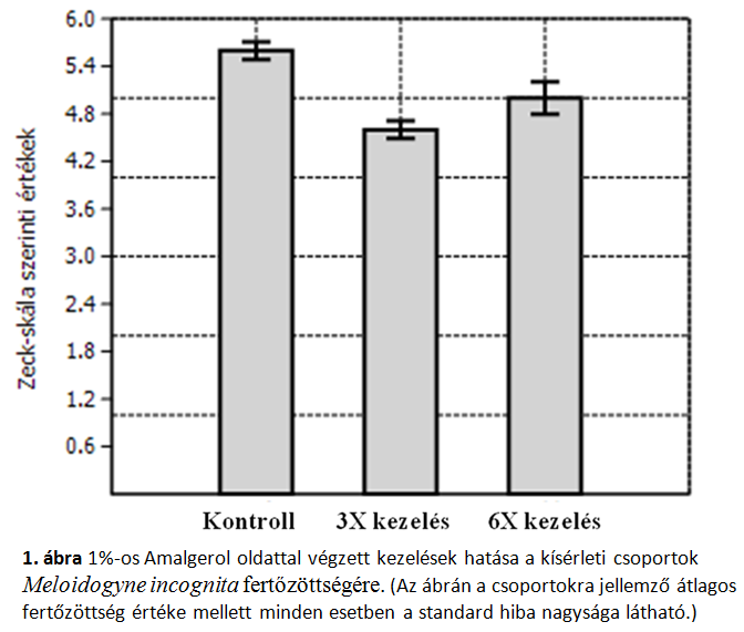 EREDMÉNYEK A biológiai hatás vizsgálatának eredménye: Az általunk vizsgált kísérleti csoportok között az Amalgerol oldattal végzett kezelés hatására a gyökerek Meloidogyne incognita fertőzésében
