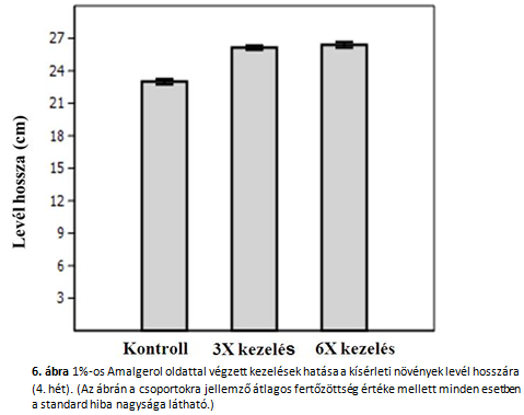 A 6. héten a 3x kezelt csoport átlagos levélhossza szignifikáns mértékben eltért mind a kontroll csoporttól, mind a 6x kezelt csoporttól.