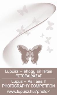 Összefoglaló a 2011. évi tevékenységéről 16. Nemzetközi fotópályázatot hirdettünk 2011. november 5. Purgel Zoltán Egyesületünk nemzetközi fotópályázatot hirdetett Lupusz ahogy én látom címmel.