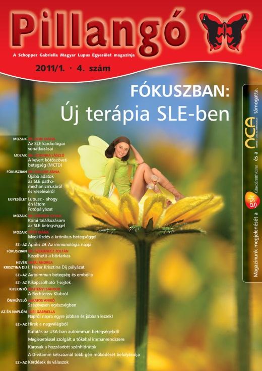 Összefoglaló a 2011. évi tevékenységéről 19. Pillangó magazin 2011/1 4. lapszám 2011. december 15.