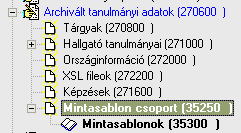 Képzések / Hallgatói adatok 2.3. Mintasablon csoport Az élő intézményi, képzés szak és szakirány adatokból az archívumba kerülő adatokat felülbírálhatjuk a sablonként létrehozott adatokkal.