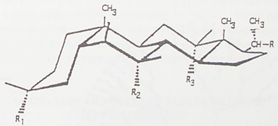 47. A MEKC-ben leggyakrabban alkalmazott anionos tenzidek tenzid CMC [mm] aggr.
