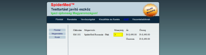 Rendelés menete 1. A Megrendelılapon a megrendelni kívánt termék(ek)nél írja be a darabszámot és tegye be a kosárba a kosárba teszem gomb segítségével 2. Következı lapon a rendelését látja.