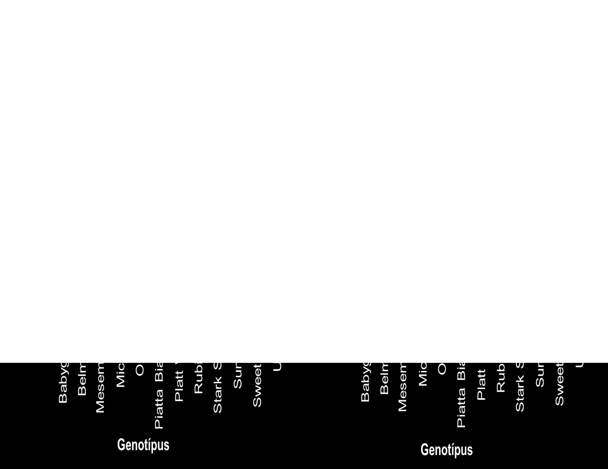 18. ábra. A vizsgált őszibarack genotípusok összes antioxidáns kapacitása (FRAP, mmol ASE/L) és összes polifenol-tartalma (TPC, mmol GSE/L). A kajszi (Prunus armeniaca L.