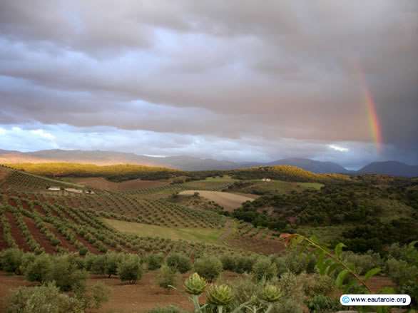 Medencéi, alföldjei Andalúziai-m., Aragón-m.