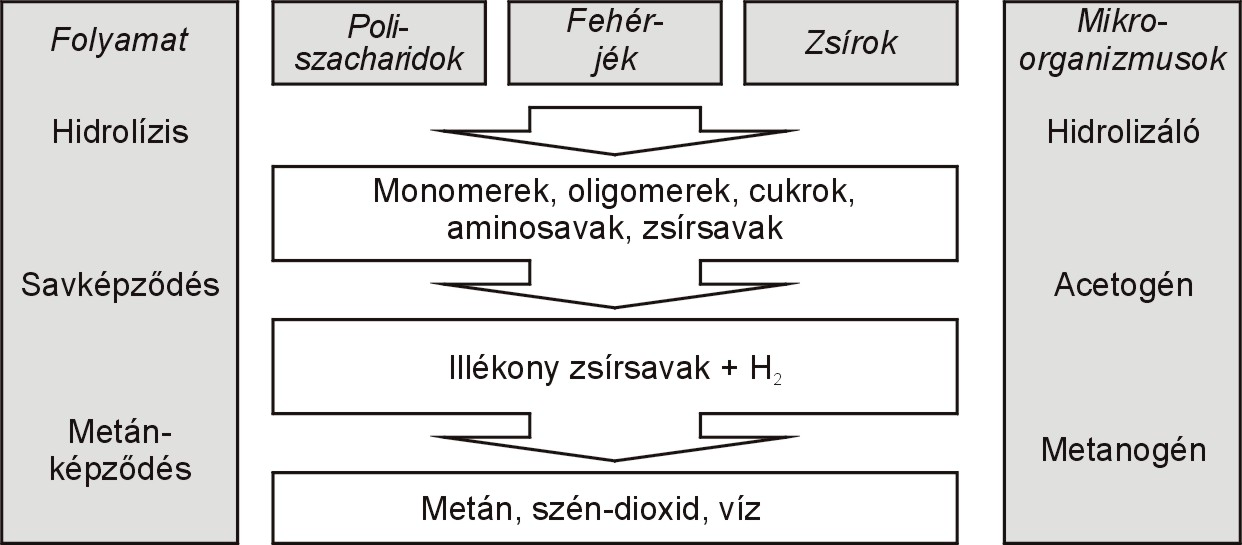 A biogázgyártás technológiái Ebben a fejezetben bemutatjuk a biogáztermelés biológiai alapjait, az üzemek felépítését, a bennük lezajló legfontosabb folyamatokat és a biogáz-előállítás lehetséges