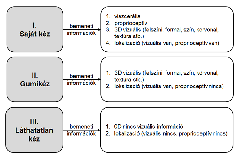 származó vizuális információ, ha nem is szükséges feltétele az illúzió kiváltásának, de feltehetően nagymértékben hozzájárul ahhoz. 5.2.