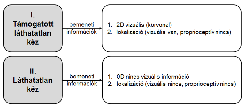 4. ábra. A kísérleti elrendezés alapjául szolgáló vizuális információ csökkentés vázlata. (A sajátkéz elrendezés nem jelenik meg a vizsgálatban, az ábrán csak a teljesség kedvéért tüntettük fel). 5.