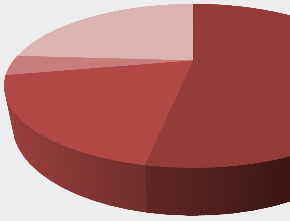 OLVASÓI CÉLCSOPORT SZÁZALÉKOS MEGOSZL ÁSBAN PERC ENTAGE DISTRIBUTION OF THE TARGE T GROUP 53% Magas- és mélyépítő-ipari, valamint szak- és szerelőipari kivitelezők, vállalkozók, iparosok Structural