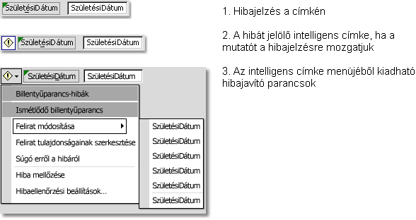 ISMERKEDÉS A PROGRAMMAL 33 A Hibaellenőrzés engedélyezése jelölőnégyzet bekapcsolása után a program segítséget nyújt a hibák megkereséséhez és kijavításához. 11. ábra.