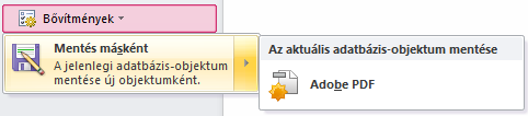 78 2010-es Access újdonságok Exportálás PDF és XPS formátumba Az adatokat exportálhatjuk PDF és XPS formátumba későbbi nyomtatás, postázás és e-mail útján történő terjesztés szándékával.