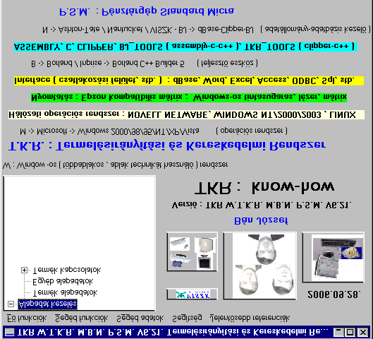 - 6-04 - Interface 05 - TKR program - rendszer 06 - TKR adat - kapcsolat 07 - Vállalatirányítási rendszer 99 - TKR Szolgáltatás ( VISZK Bt.