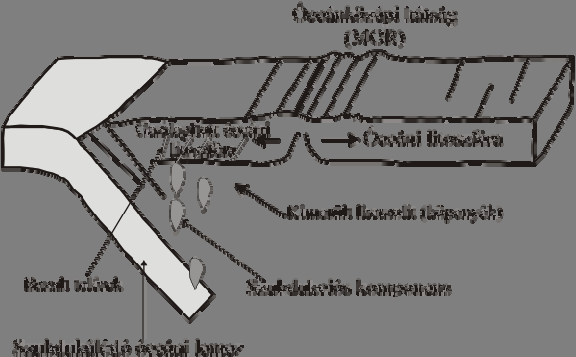 Tehát az ofiolit zónák magmás kőzetei óceánközépi hátság környezetben (MOR) és szubdukció feletti (SSZ) régióban képződött kőzetek is lehetnek (3.ábra). KOLLER et al.