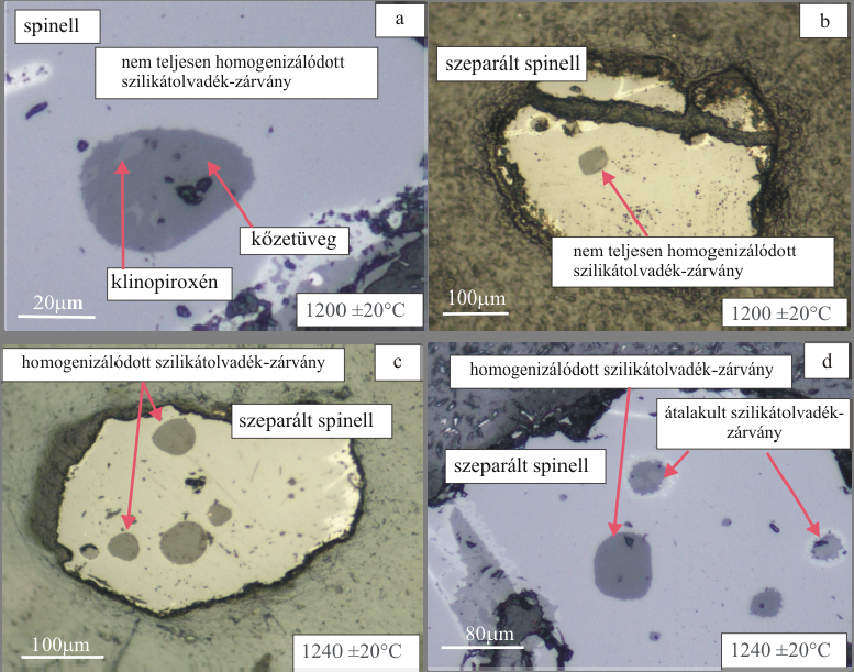 klinopiroxén reliktumot (13a-b. ábra). A további vizsgálatokhoz csak a teljesen homogenizált kőzetüveget tartalmazó szilikátolvadék-zárványokat használtam. 13. ábra. 1200 ±20 C és 1240 ±20 C-ra melegített, majd hirtelen lehűtött, feltárt szilikátolvadék-zárványok polarizációs és visszaszórt-elektron képe spinellben a.
