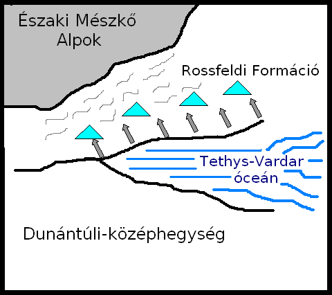 A FELSŐVADÁCSI BRECCSA KLASZTJAINAK ORIENTÁCIÓS VIZSGÁLATA PETRIK ATTILA 1. BEVEZETÉS A Felsővadácsi Breccsa a Gerecse-hegység sajátos kréta időszaki földtani képződménye.