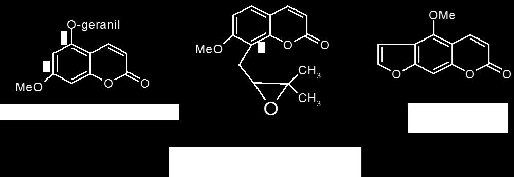 További Citrus speciesek: C.aurantium var. amara keserűnarancs (Aurantii amari epicarp et mesocarp. Aurantii amari floris aetheroleum) C.aurantium var.dulcis- édesnarancs (Aurantii dulcis aetheroleum) C.