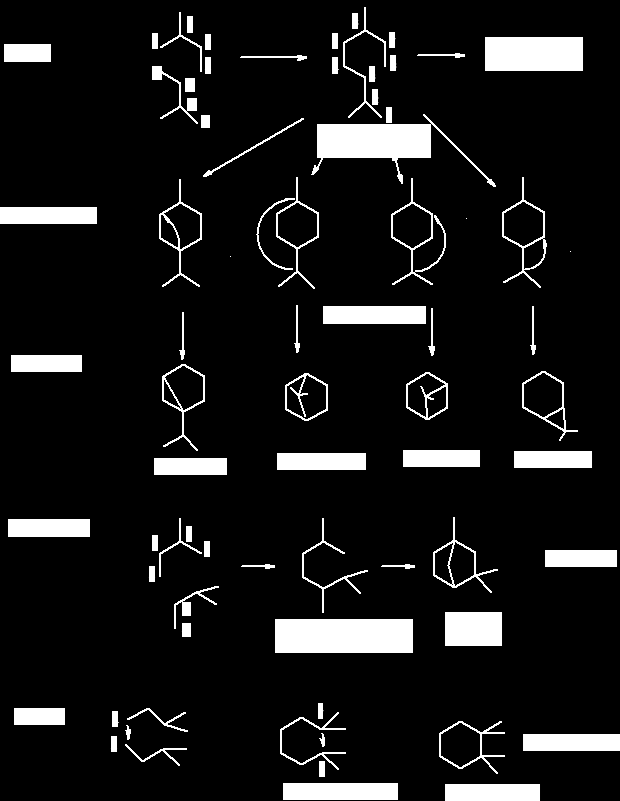 Monoterpének