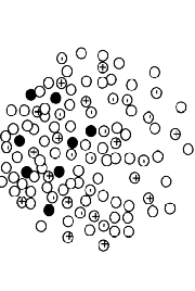 MALDI Mátrix által segített lézer deszorpció ionizáció (Matrix Assisted Laser Desorption Ionization) hn 4.