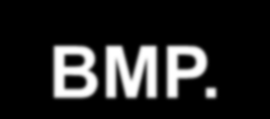 Digitális képformátumok BMP a DOS és Windows op. re