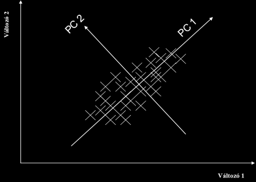 2.6.2. Alkalmazott többváltozós statisztikai módszerek Főkomponens analízis (PCA) DALMADI és munkatársai (2007 b) megfogalmazásában a főkomponens-analízis (Principal Component Analysis, PCA) egy nem