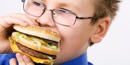 A gyermekek elhízási adatai (2010/2011 tanév) A túlsúly, elhízás előfordulási gyakorisága folyamatos növekedést mutat Az elhízott gyermekek