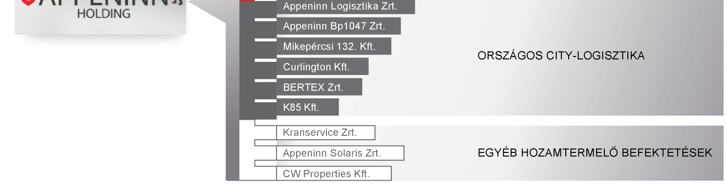 A cégcsoport az alábbi struktúrában végzi tevékenységét: 2013 harmadik negyedévében a cégcsoport hat saját tulajdonú portfoliócéget egyesített Appeninn E-Office Zrt. név alatt.