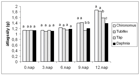 kísérlet során a szúnyoglárva és a tubifex segítségével tápra szoktatott halak átlagsúlyai között nem volt szignifikáns a különbség.