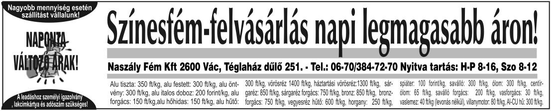 6 Pokol lett az életünk... Aztán beköszöntött 2008, a válság, én mellesleg ismét kisbabát vártam. Boldogok vol- Hát lett, és kitart a mai napig. Az életünk pokol lett.